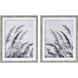 Dune Grass Gray Framed Wall Art