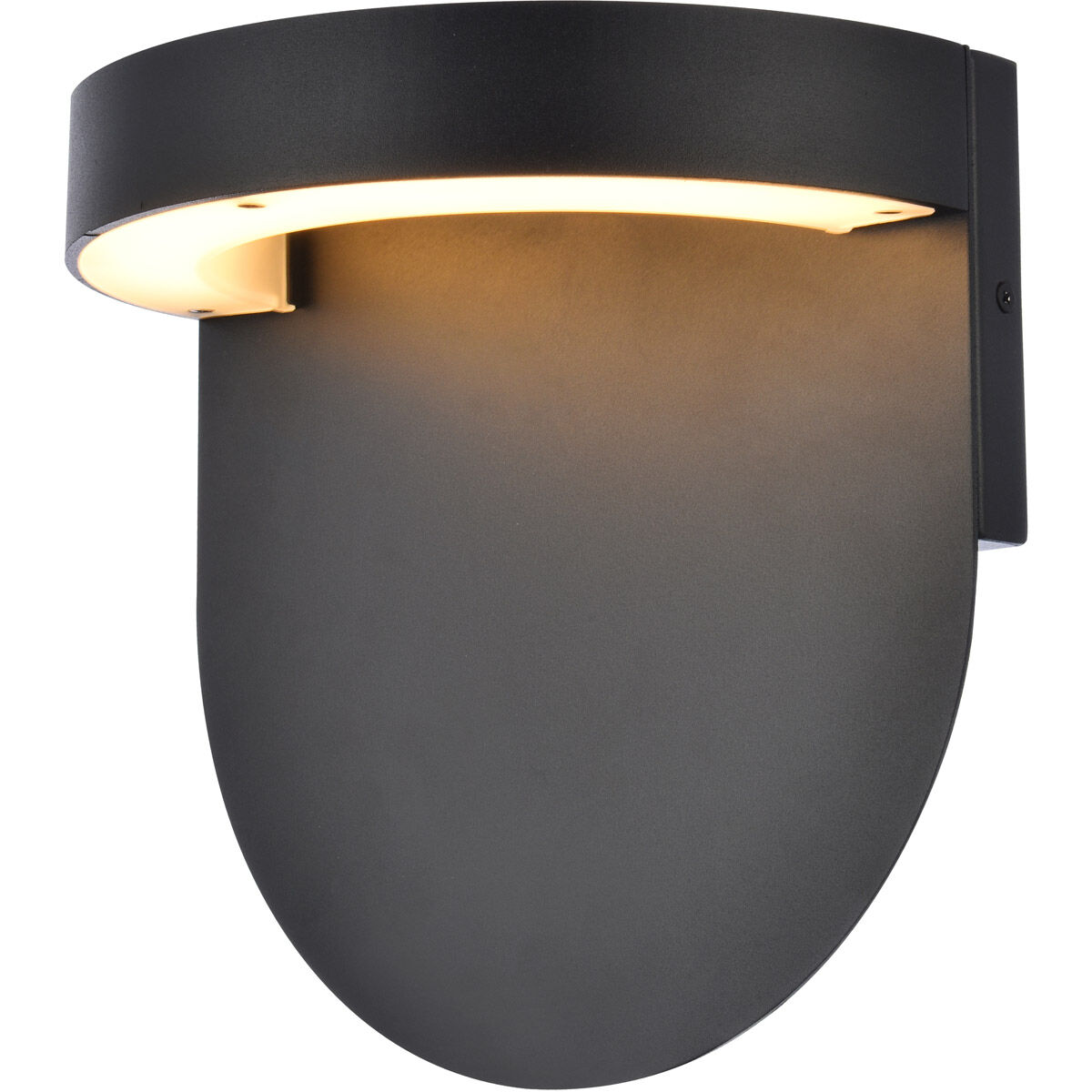 Raine Outdoor Wall Light in Black