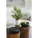 Anita Black Plant Stand