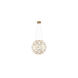 Canada LED 24 inch Gold LED Chandelier Ceiling Light