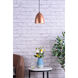 Neutra 1 Light 6 inch Honey Gold Pendant Ceiling Light