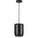 Hayden LED 7 inch Glossy Black Pendant Ceiling Light