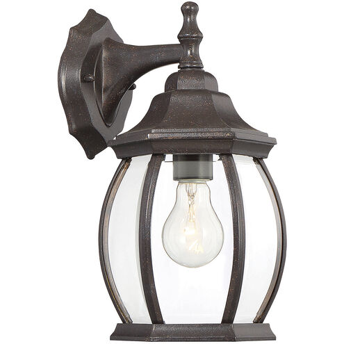 Transitional 1 Light 13 inch Rustic Bronze Outdoor Wall Lantern