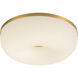 Jada 12 inch Brushed Gold Flush Mount Ceiling Light