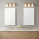 Miles 3 Light 18.00 inch Bathroom Vanity Light