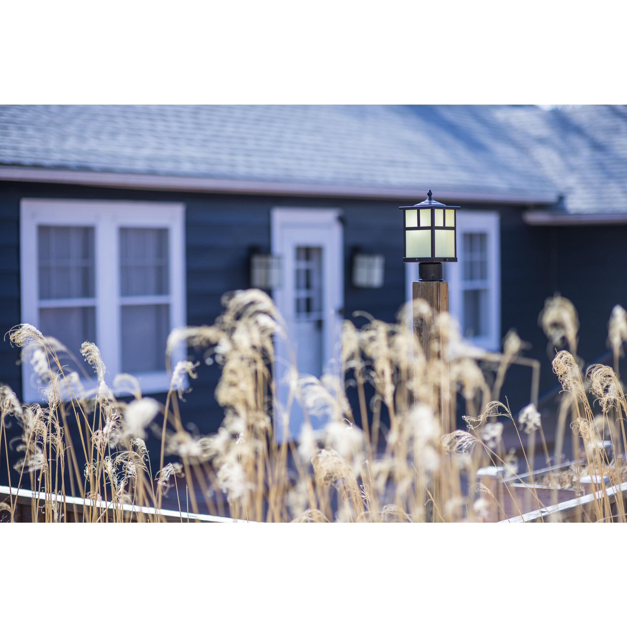 Coldwater 1 Light 12 inch Burnished Outdoor Pole/Post Lantern in Honey