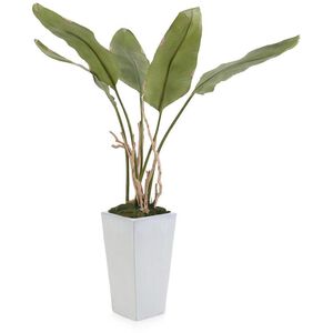 Banana Botanical, Permanent Florals