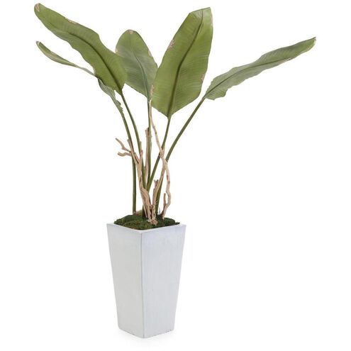 Banana Botanical, Permanent Florals