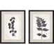 Florals Collection Black Framed Art