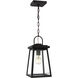 Founders 1 Light 7 inch Black Outdoor Pendant