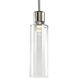 Zigrina 1 Light 5.88 inch Polished Nickel Pendant Ceiling Light