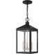 Nyack 3 Light 8.25 inch Black with Brushed Nickel Cluster Outdoor Pendant Lantern