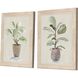 Florals Collection Green Framed Art