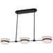 Anel Island Light Ceiling Light in Matte Black