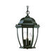 Wexford 3 Light 9.50 inch Outdoor Pendant/Chandelier