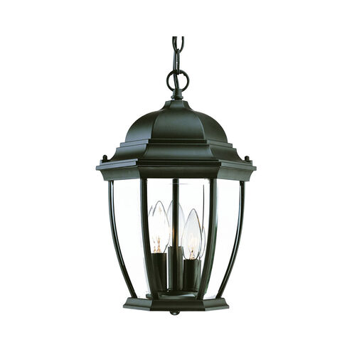 Wexford 3 Light 10 inch Matte Black Exterior Hanging Lantern