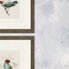 Animals Collection Multi Framed Art