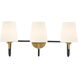 Brienne 3 Light 24.5 inch Legacy Brass and Dark Matte Black Vanity Wall Light