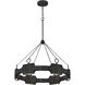 Lisa McDennon Raffi LED 30 inch Carbon Black Chandelier Ceiling Light