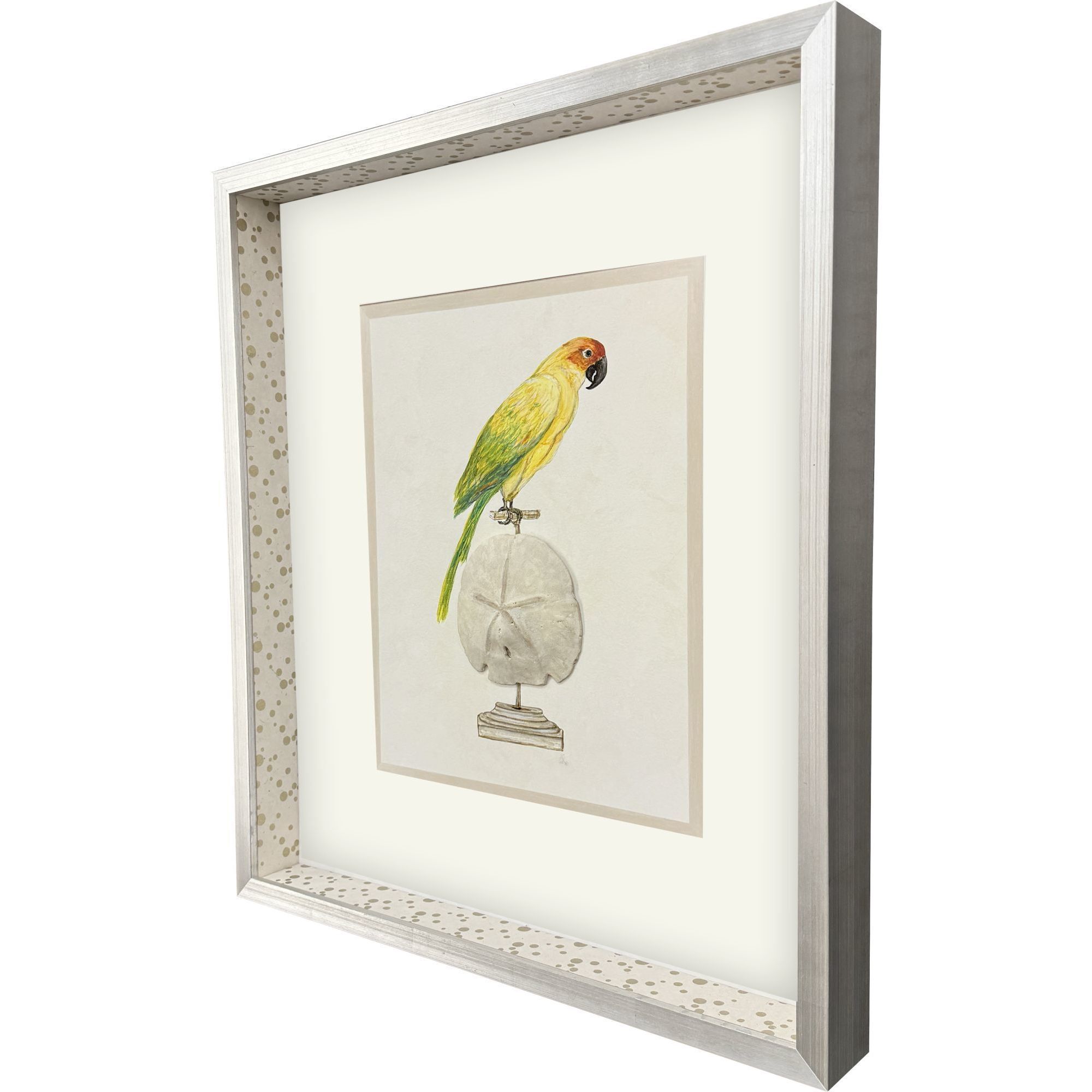 Treasure Parrot Blue and Green and Multi and Yellow Framed Art