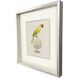 Treasure Parrot Blue and Green and Multi and Yellow Framed Art