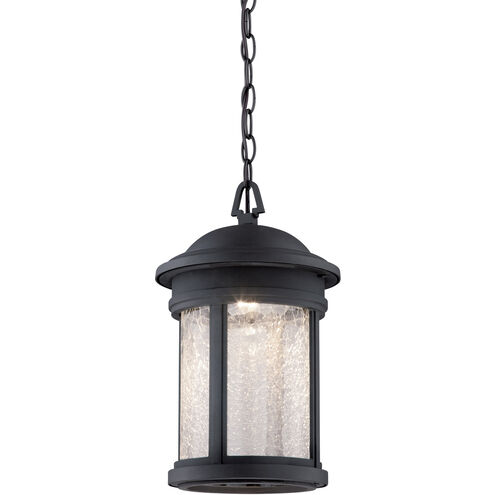 Ellington 1 Light 11 inch Oil Rubbed Bronze Outdoor Hanging Lantern
