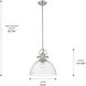 Yep Hines 1 Light 13.5 inch Pewter Pendant Ceiling Light in Seeded Glass, Large