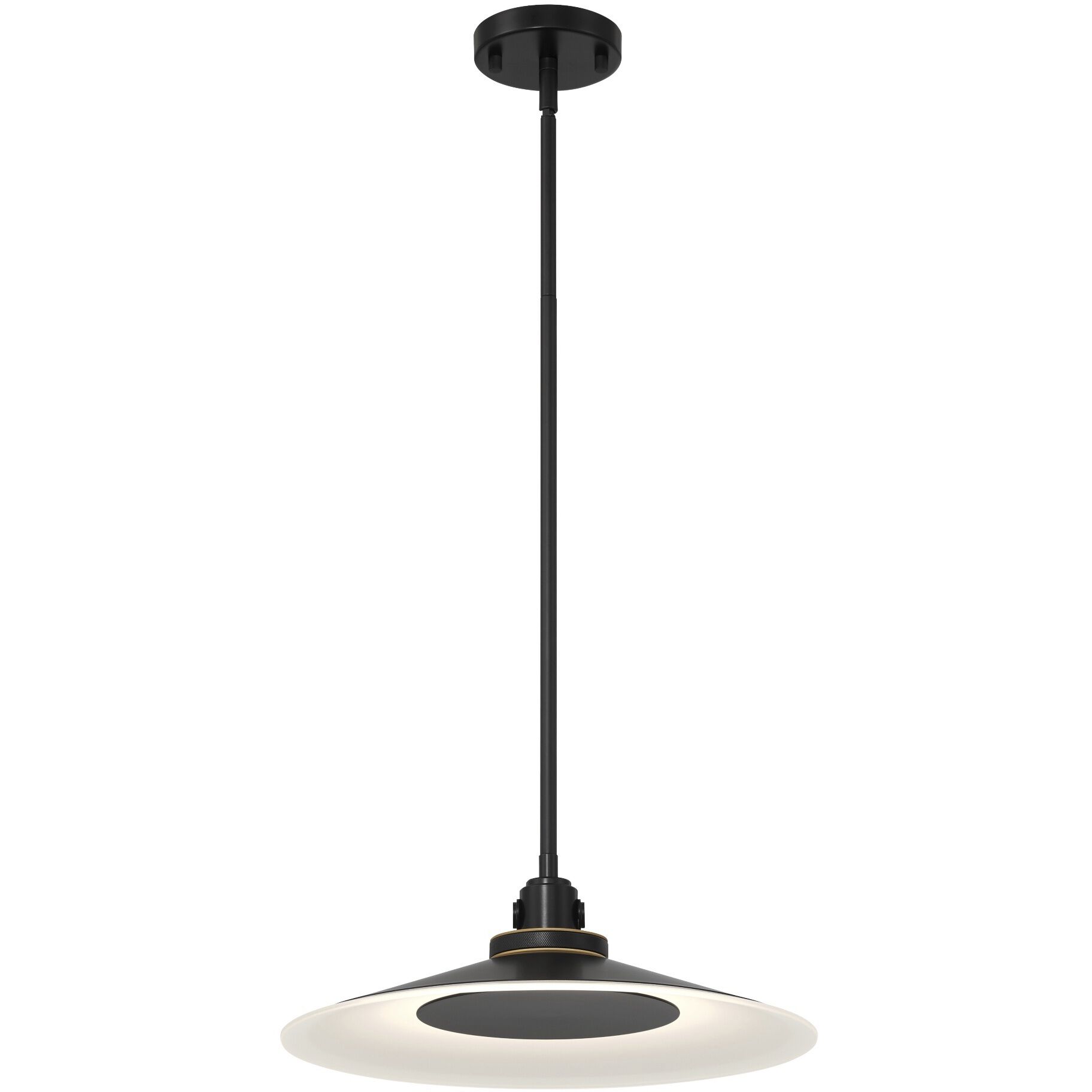 Deckard 1 Light 16 inch Gold and Black Outdoor Pendant