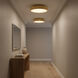 Paloma Contreras Dupont 16 inch Gild Semi-Flush Mount Ceiling Light
