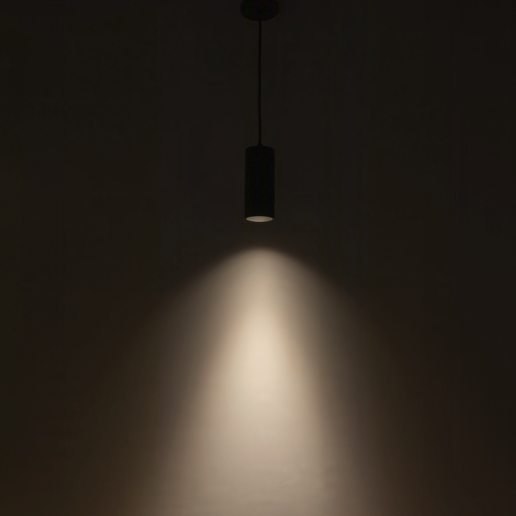 Lorna Pendant Ceiling Light in Black