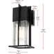 Janney 1 Light 11.5 inch Black Outdoor Wall Sconce