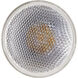 Lumos LED PAR20 Medium 6.50 watt 120 3500K LED Bulb