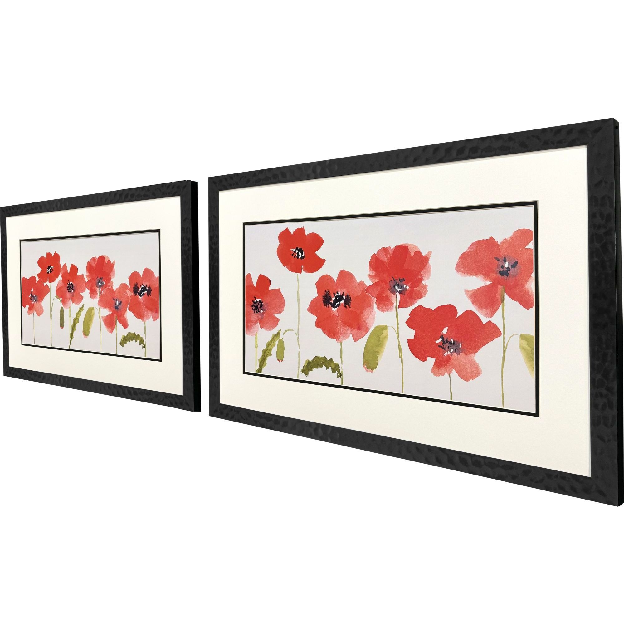Anemone Study Red and White and Black and Green Framed Art, Propac
