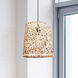 Tash 1 Light 13.25 inch Black Pendant Ceiling Light