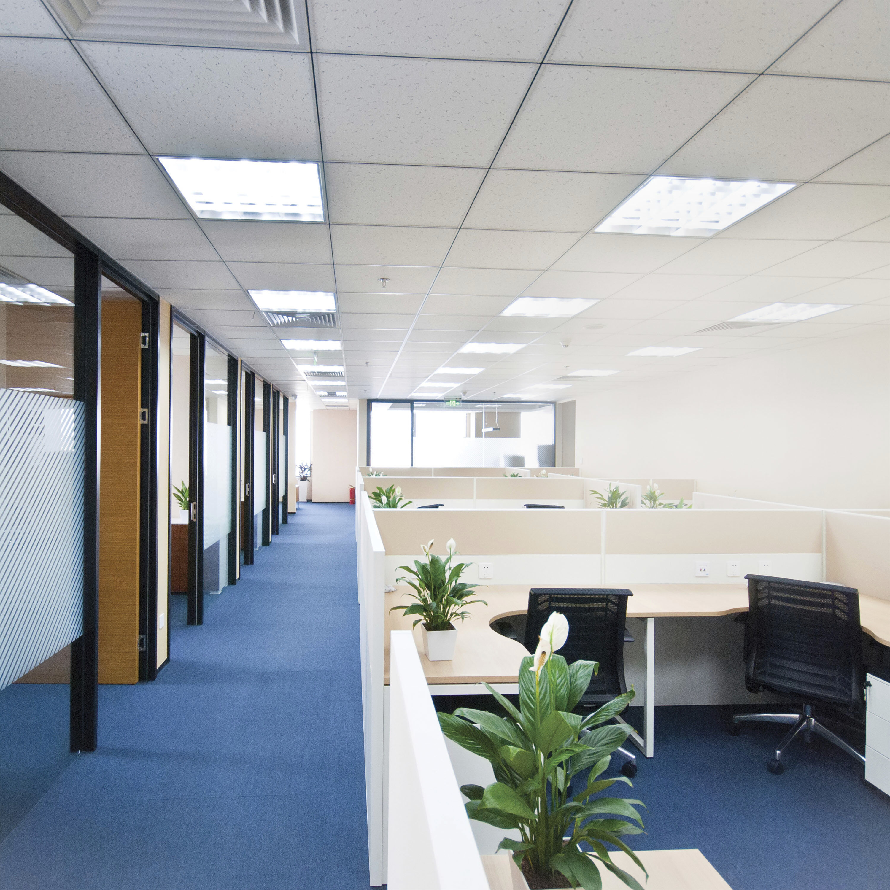 Lumos LED Medium Bi Pin T8 9.50 watt 3500K Light Bulb