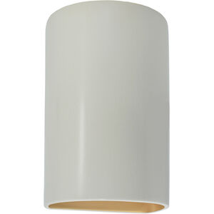 Ambiance Collection LED 13 inch Matte White/Champagne Gold Outdoor Wall Sconce