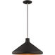 Allison 1 Light 15 inch Black Mini Pendant Ceiling Light