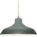 Radiance LED 13.5 inch Pewter Green and Brushed Nickel Pendant Ceiling Light