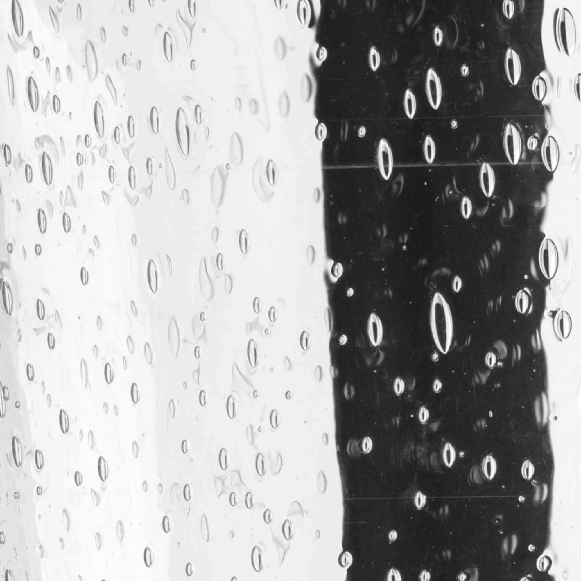 East Haven LED LED 8 inch Textured Black Outdoor Wall Lantern, Small, Progress LED