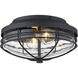 Seaport 2 Light 6.38 inch Natural Black Outdoor Ceiling