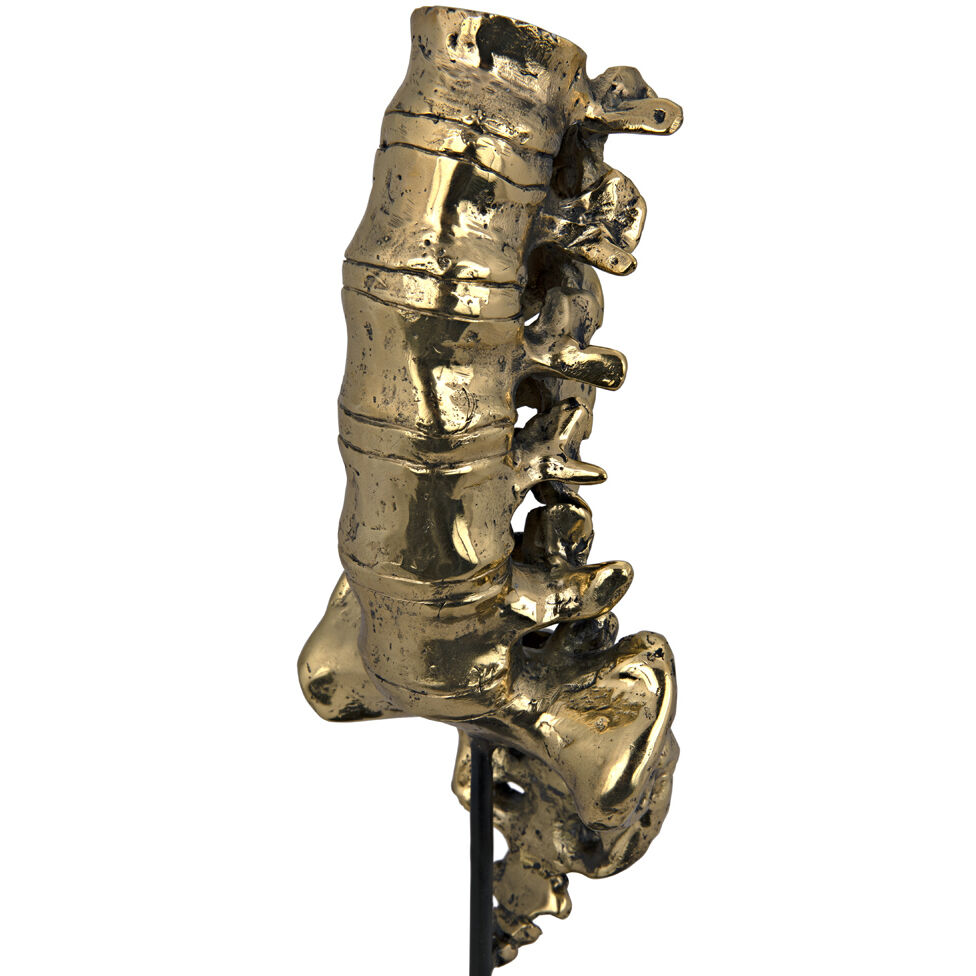 Vertebrae Brass Decor Accessory