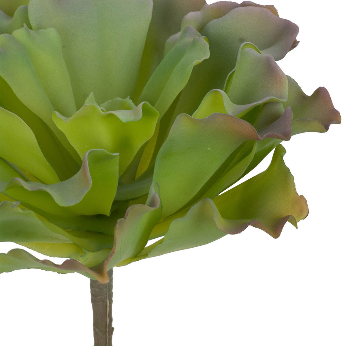 Gian Succulent Green Floral Décor