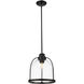 Stanton 1 Light 12 inch Matte Black Pendant Ceiling Light