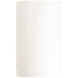 Ambiance LED 6 inch Matte White Wall Sconce Wall Light
