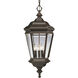 Donato 4 Light 12 inch Oil Rubbed Bronze Outdoor Hanging Lantern