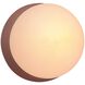 Ambiance LED 4.5 inch Canyon Clay Wall Sconce Wall Light