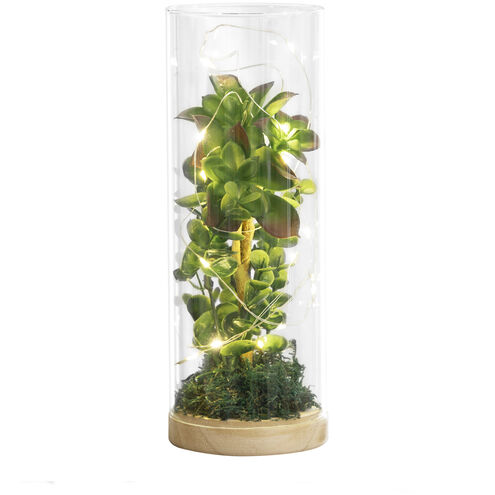 Luna Green and Clear with Natural Terrarium