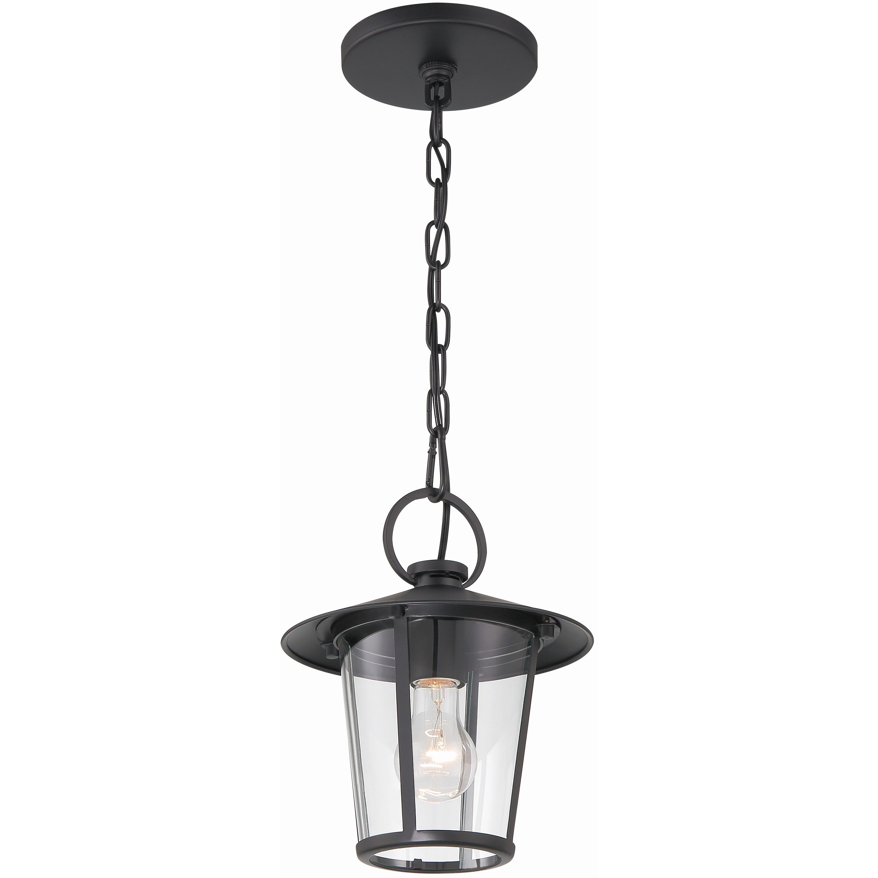 Andover 1 Light 9 inch Matte Black Outdoor Pendant in Clear