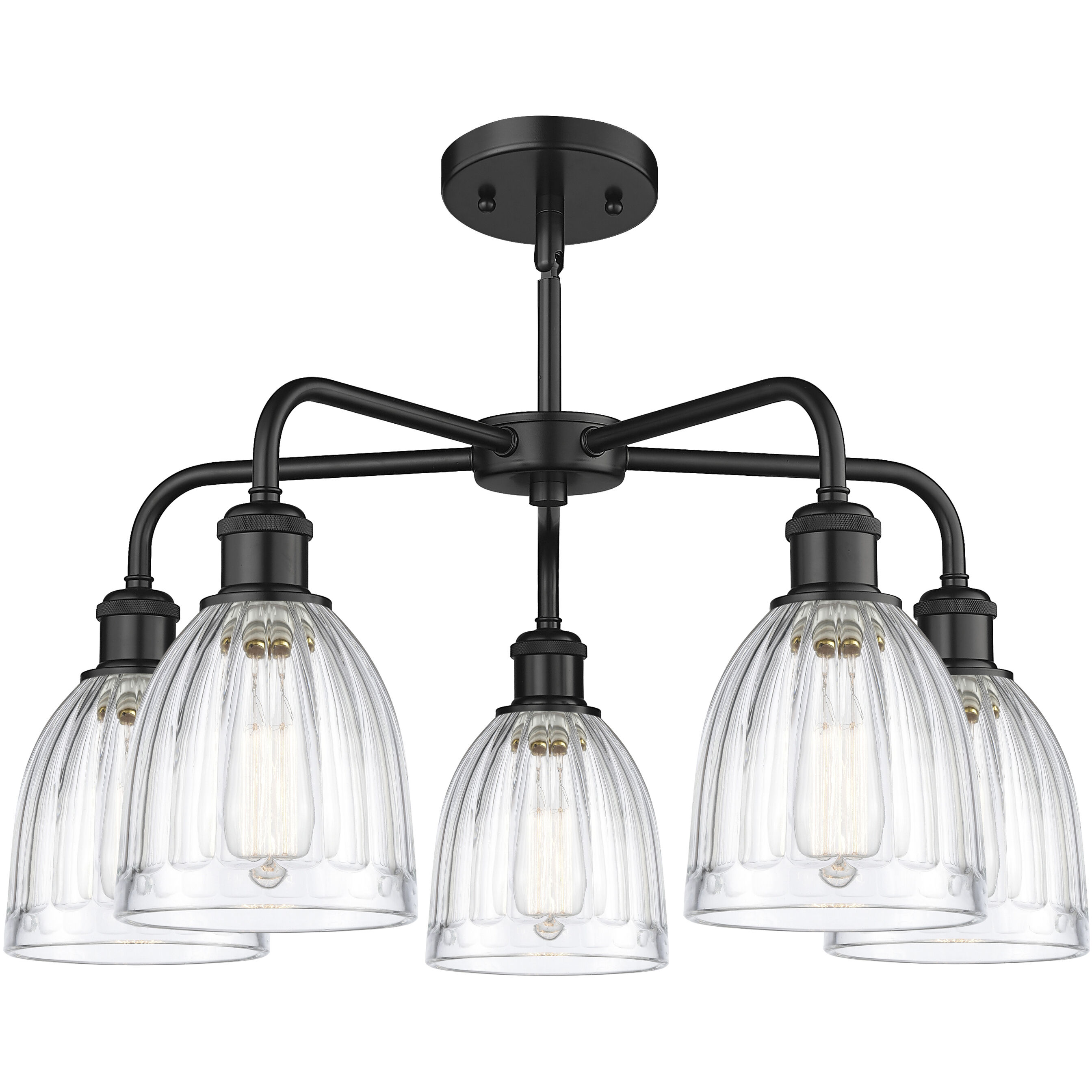 Brookfield 5 Light 23.75 inch Matte Black Chandelier Ceiling Light in Clear
