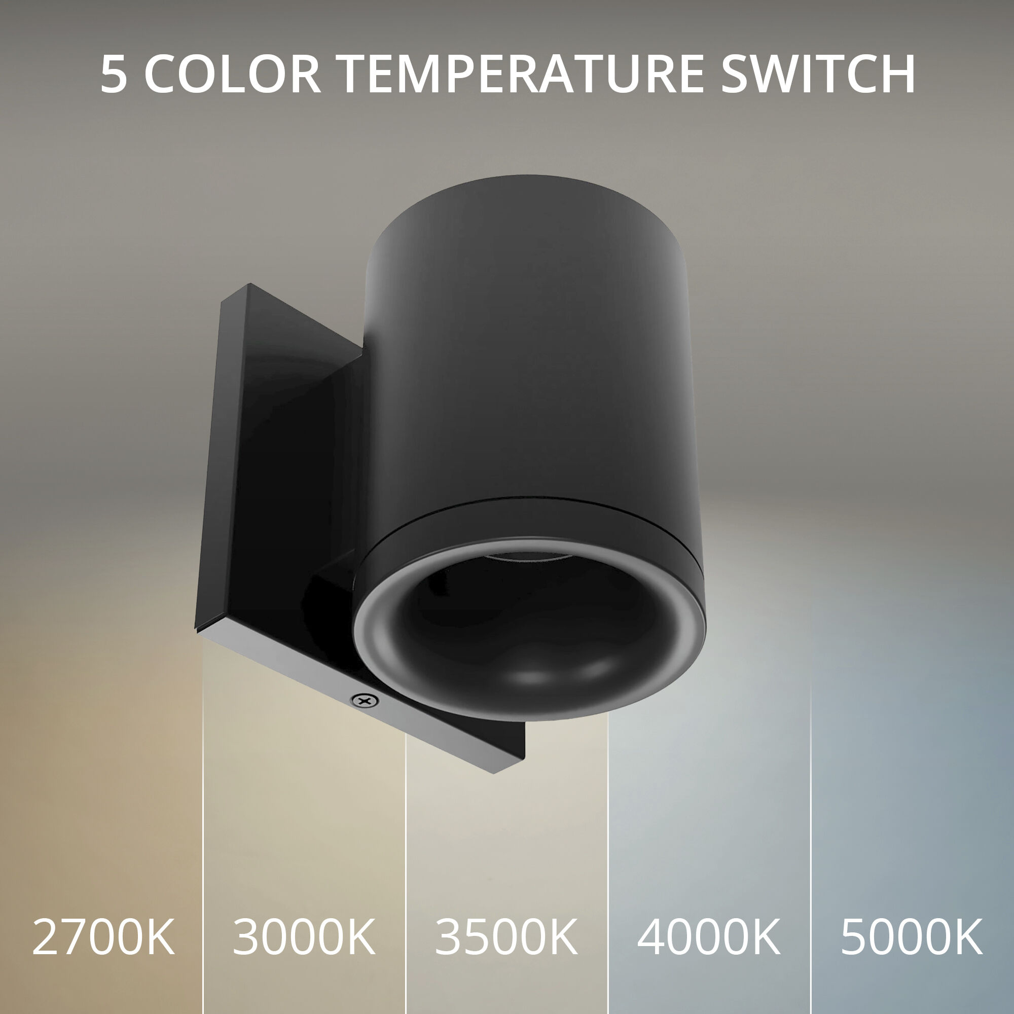 Zoron LED 4.75 inch Arc Black Outdoor Wall Lighting